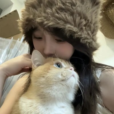 法国人印象